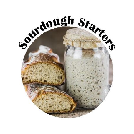 Sourdough fresh starter