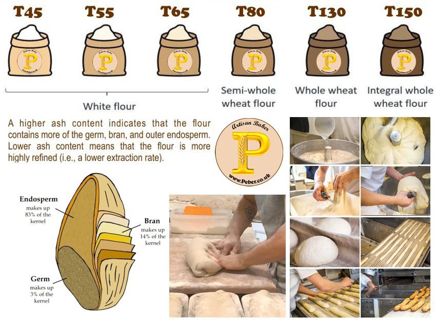 Illustration showing types of flour with labels and a baker working with dough.